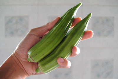 Cropped image of person holding okras