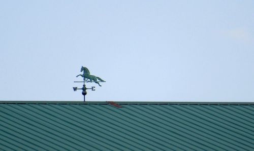 Low angle view of horse on roof against clear sky