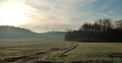 Scenic view of field against sky