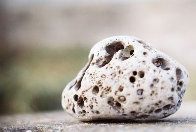 Close-up of bread on table