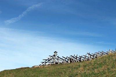 Low angle view of trees on field against blue sky