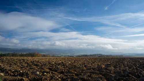 Scenic view of field against sky