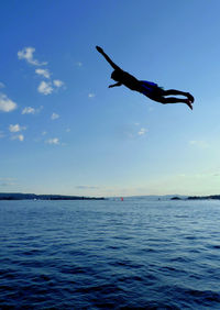 Silhouette bird flying over sea against sky