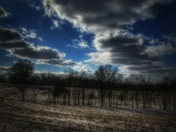 Bare trees on field against sky