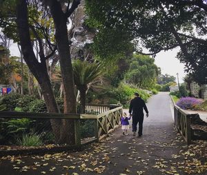 Rear view of people walking on road amidst trees