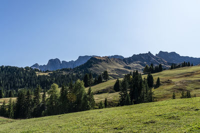 Scenic view of landscape against clear sky