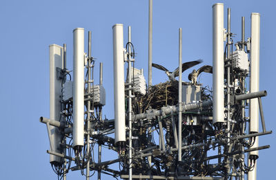 Low angle view of osprey nest in industry against clear sky