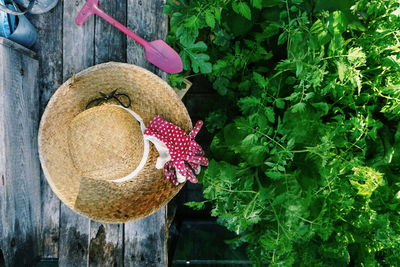 Close-up of straw hat hanging on wooden fence by plants