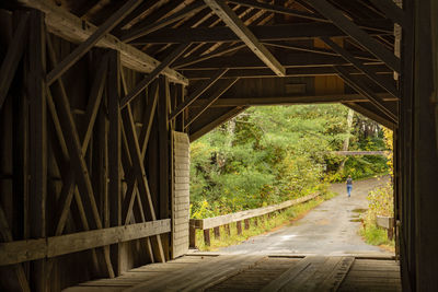 View of  covered bridge in forest