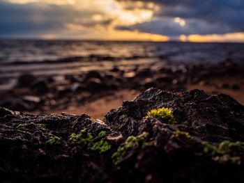 Close-up of rocks on beach