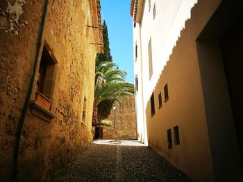 Narrow alley amidst buildings in city