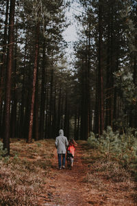 Rear view of people walking in forest