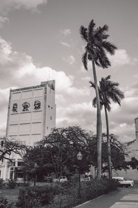 Low angle view of palm trees and building against sky