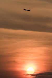 Silhouette bird flying against orange sky