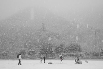 Woman standing on tree trunk