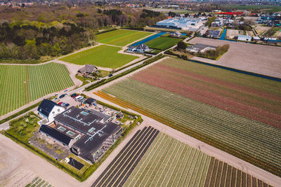 High angle view of agricultural field