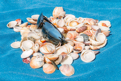 High angle view of seashells on beach towel