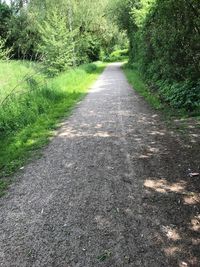 Road amidst trees on field