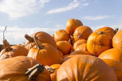 Close-up of pumpkins against sky