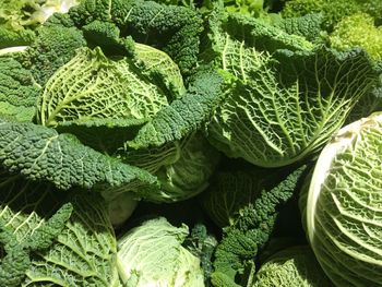 Full frame shot of vegetables