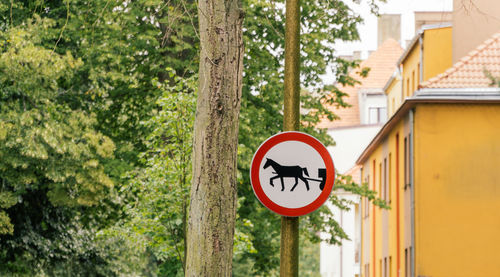Low angle view of road sign for carriage traffic by building