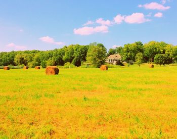 Trees on grassy field against cloudy sky