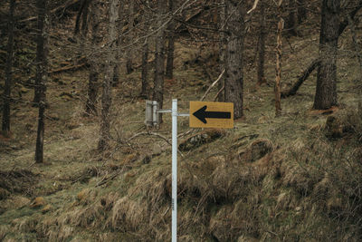 Road sign by trees in forest