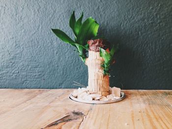 Plant growing on table at home