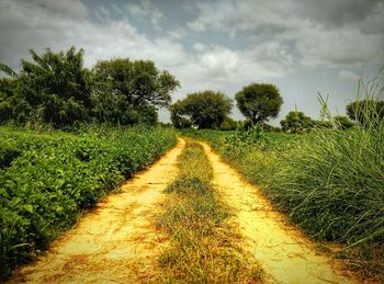 Road passing through field