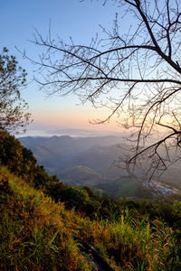 Scenic view of landscape against sky during sunset