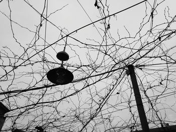 Low angle view of bare tree against sky