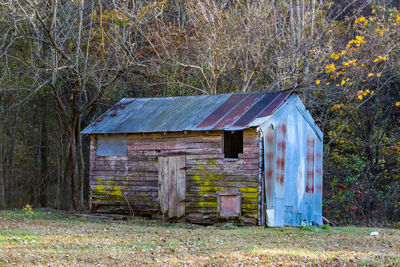 Old wooden house on field by trees in forest