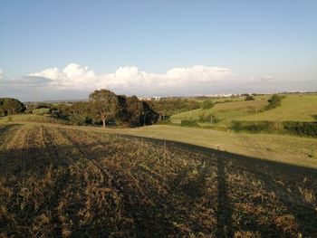 Scenic view of farm against sky