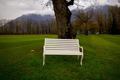 Empty white bench against tree trunk at park