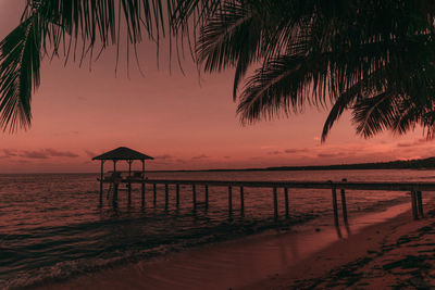 Silhouette palm trees on beach against sky during sunset