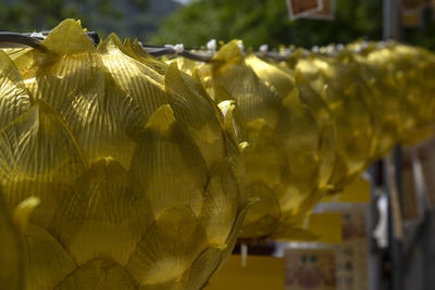 Close-up of yellow lanterns hanging outdoors