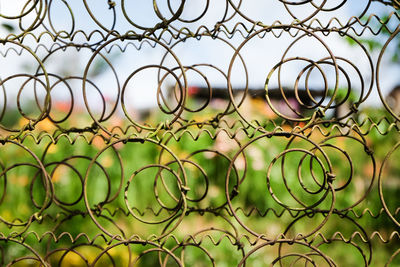 Close-up of metal fence