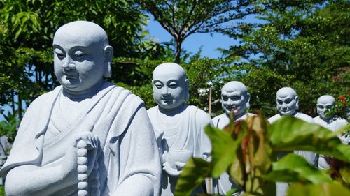 Close-up of statue against trees