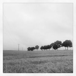 Scenic view of grassy field against sky