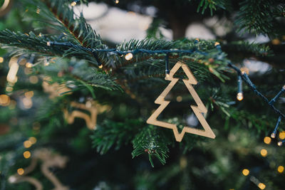 Close-up of decoration on christmas tree