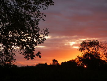 Silhouette trees against dramatic sky during sunset