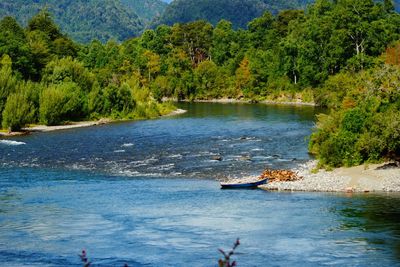 River with trees in background