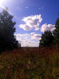 Scenic view of field against cloudy sky