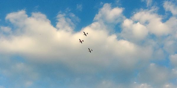 Low angle view of birds flying in sky