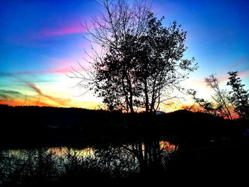 Silhouette of trees at sunset