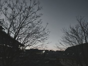 Low angle view of silhouette tree and buildings against sky