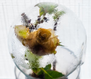 High angle view of ice cream in glass on table