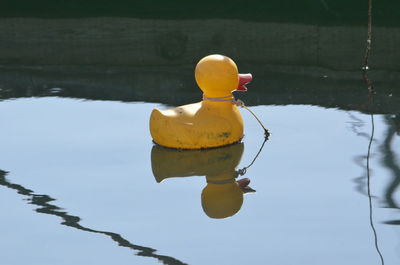Yellow toy floating on lake