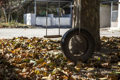 Close-up of swing tire in autumn 