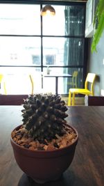 Close-up of potted plant on table at home